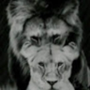 Meet your Posher, Rubyroo